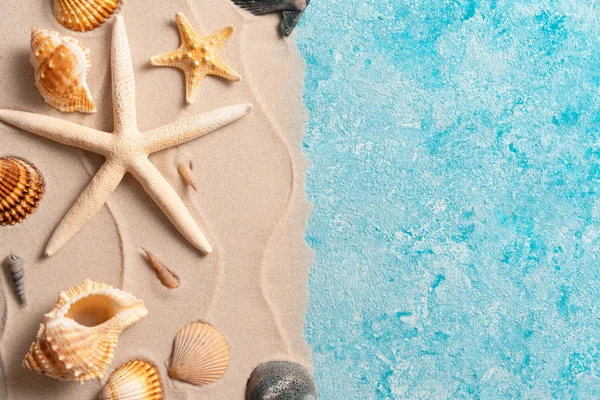 Creatieve lay-out van zandgolven en zee, zomer strand achtergrond met schelp, zee ster, vakantie en reisconcept, Flat lay top view kopieerruimte Minimaal exotisch concept. — Stockfoto