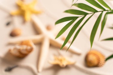 yaz arkaplan düzlüğü, üst görünüm, kopyalama alanı