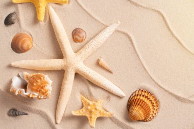 Asgari egzotik kavram. Kum dalgalarının yaratıcı düzeni. Deniz yıldızı, deniz yıldızı, tatil ve seyahat konsepti ile yaz plajı arka planı, düz görünüm kopyalama alanı