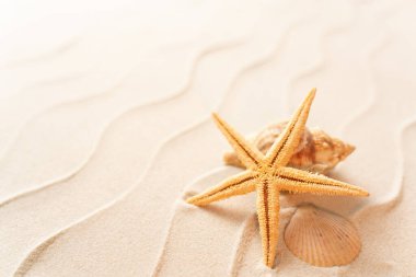 Deniz kabuğu Seastar, tatil ve seyahat konsepti ile yumuşak odaklı yaz plajı arka planı, düz açılı fotokopi alanı, minimum egzotik konsept. Kum dalgalarının yaratıcı düzeni.