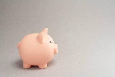 Para tutma konsepti. Tasarruf sembolü - gri arka plandaki bozukluklar için kumbara. Boşluğu kopyala.