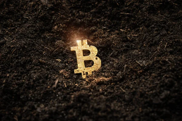 Bitcoin Hold Concept Cryptocurrency Stored Ground Saving Symbol — Stock Photo, Image