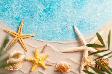 Deniz kabuğu yıldızı ile yaz plajı arka planı bulanık Palm tatili ve seyahat konsepti, düz açılı fotokopi alanı minimum egzotik konsepti yatıyordu. Kum dalgaları ve denizin yaratıcı düzeni
