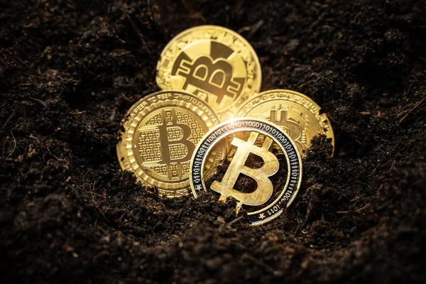 Bitcoin Hold Concept Cryptocurrency Stored Ground Saving Symbol — Stock Photo, Image
