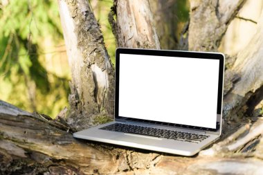 Dizüstü bilgisayar konsepti. Boş kopyalama alanı, boş ekran modeli. Doğa arka planında yumuşak odaklı dizüstü bilgisayar. Ekoloji seyahati ve ofis dışında çalışma kavramı.