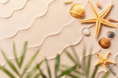 Deniz yıldızı ve bulanık Palm, tatil ve seyahat konsepti ile yaz plajı arka planı, düz yatıyordu fotokopi alanı, minimum egzotik konsept. Kum dalgalarının yaratıcı düzeni.