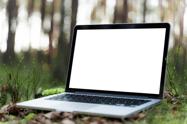 Laptop outside concept. Empty copy space, blank screen mockup. Soft focus laptop in nature background. Ecology travel and work outside office concept.