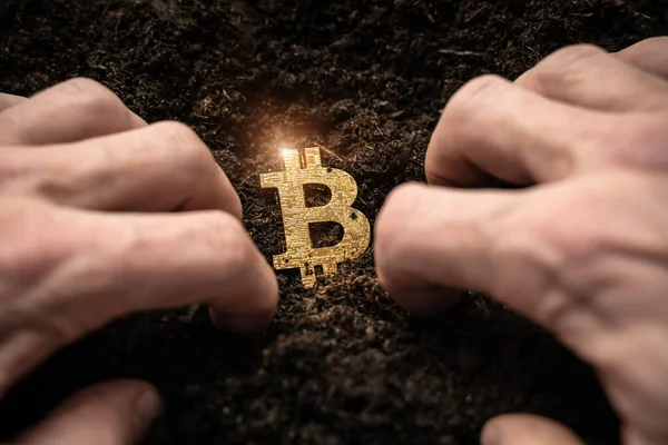 Bitcoin Hold Konzept Kryptowährung Der Erde Gespeichert Sparsymbol Ein Mann — Stockfoto