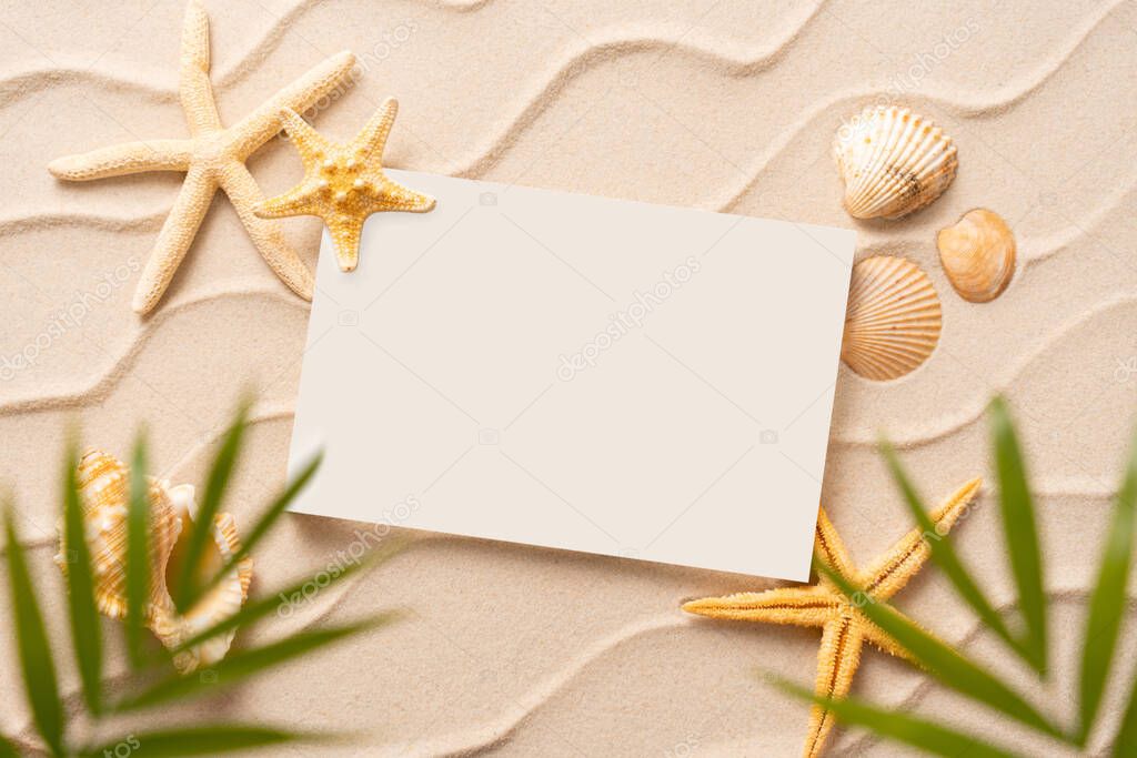 summer beach frame background, Sand shells Seastar with blurred Palm, vacation and travel concept, Flat lay top view copy space, minimal exotic concept