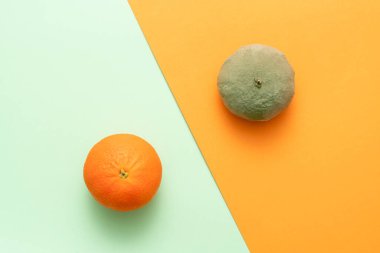 Çürümüş portakalı iyi olanla karşılaştırmak. Hastalık, kusur ya da aptallık kavramı normaldir. Düz üst görünüm.