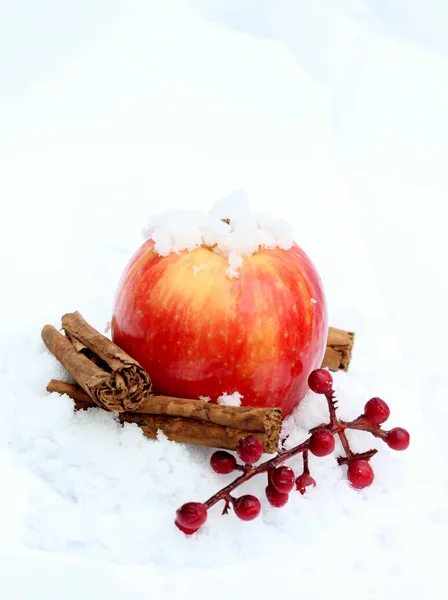 Winter red apple — Stock Photo, Image