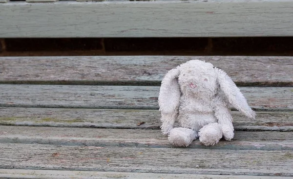 Beetje verloren Bunny — Stockfoto