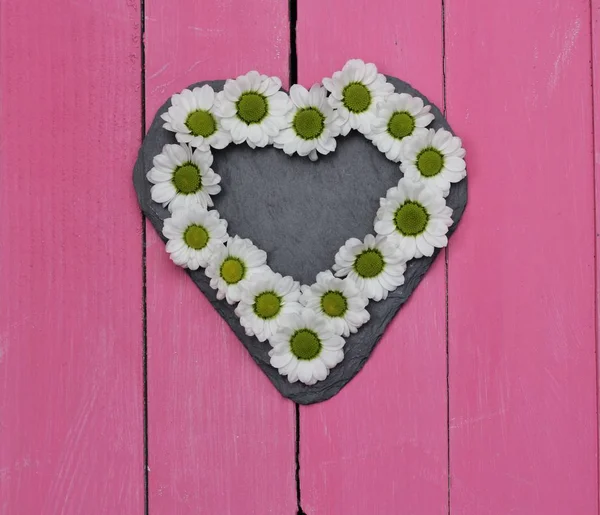 Slate heart bordered with daisies — Stock Photo, Image