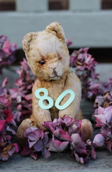 Vinatge teddybeer is tachtig — Stockfoto