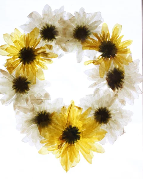 Lisované Květinové Věnec Chryzantémy Skle Žluté Bílé Abstraktní Květiny Bílým — Stock fotografie