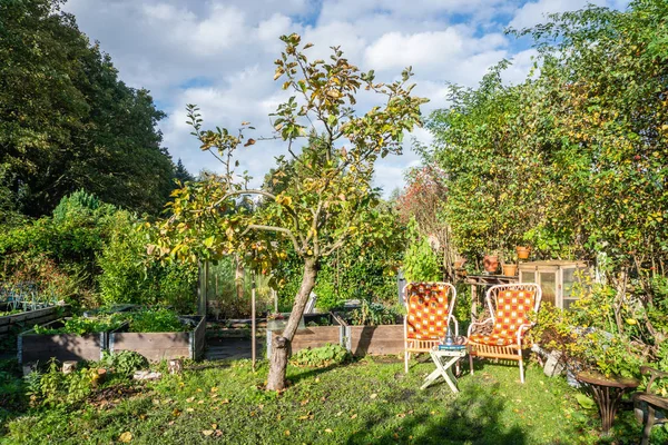 Gartenblick mit Apfelbaum und Stühlen lizenzfreie Stockbilder