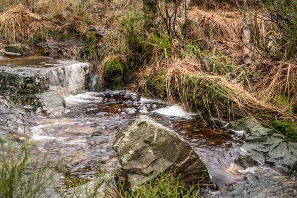 Liten bäck, babblande bäck — Stockfoto