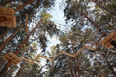 Çam ormanı parkta ip