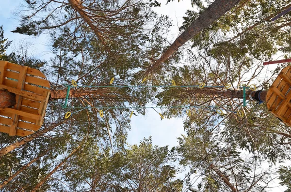 Rope park in the Pine Forest — Stock Photo, Image