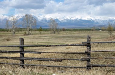 Sayan Dağları'nın eteklerindeki Tunkinskaya vadisinde bahar çayırı, Buryatia