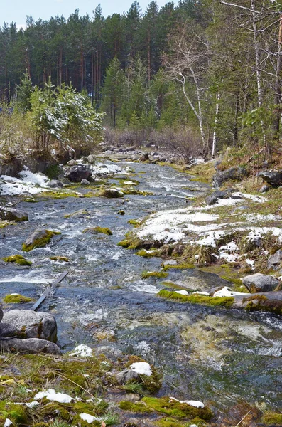 Mountain creek w śniegu wiosna. W ośrodku Arshan — Zdjęcie stockowe