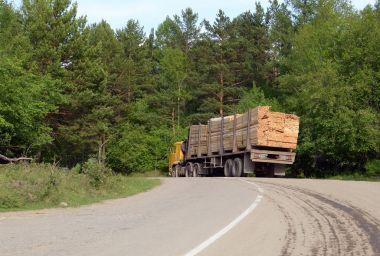 Yüklü bir kamyon ile ahşap ayakta orman yol