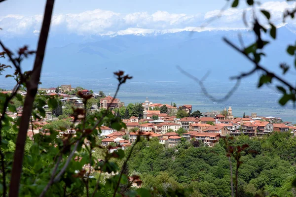 Top uitzicht stad van de liefde Sighnaghi en Alazani Valley achtergrond van de Kaukasus Bergen. Georgië — Gratis stockfoto
