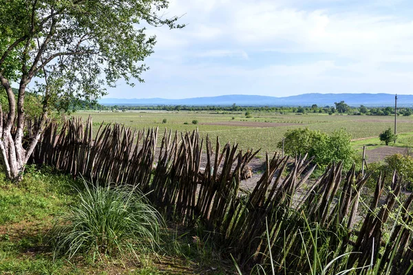 阿拉扎尼山谷的旧木制围栏和葡萄园景观 — 图库照片