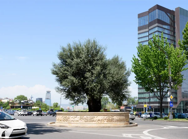 Großer alter Baum in der Mitte der Fahrbahn auf der Shota Rustaveli Avenue in Tiflis — Stockfoto