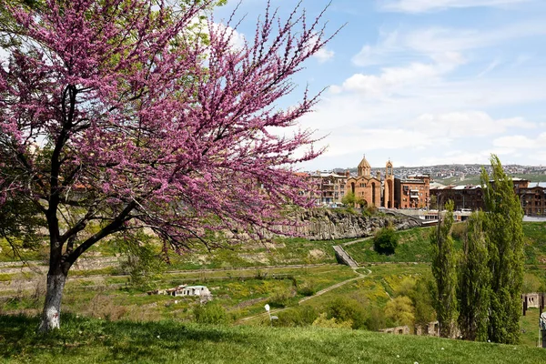 Blooming tree and church of St. Sarkis, Hrazdan Gorge, Yerevan — Stock Photo, Image