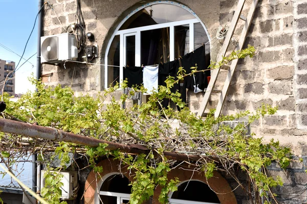 Casa con vigneto nel quartiere residenziale povero nel centro di Yerevan — Foto Stock