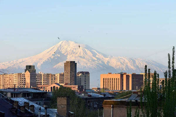 Widok na pokrytą śniegiem górę Ararat wczesną wiosną rano, Erywań — Zdjęcie stockowe