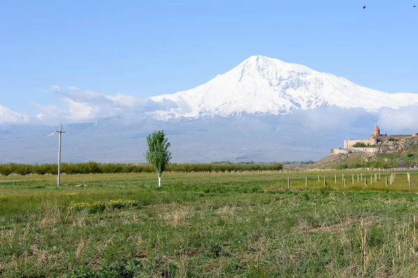 Der beste blick auf den ararat vom armenias-gebiet — Stockfoto