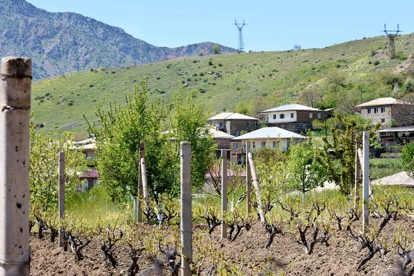 Famous winery village of Areni, Armenia — Stok fotoğraf