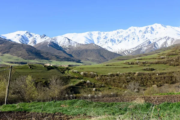 Montañas Nevadas Valle Con Árboles Flor Tierra Cultivable Primavera Región — Foto de Stock