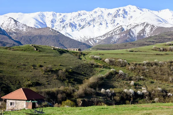 Árboles Flores Montañas Cubiertas Nieve Una Pequeña Casa Con Techo — Foto de Stock