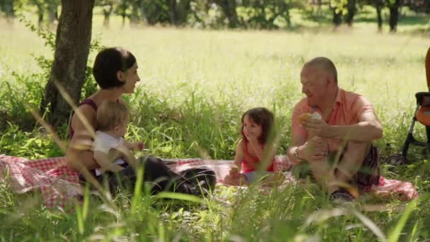 Papa maman fils et fille riant pendant le pique-nique en vacances — Video