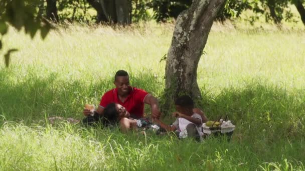 夏の休日のピクニックの時に食べ物を食べて父母息子 — ストック動画