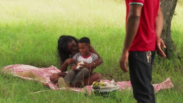 Självsäker svart Man ler mot kameran och familjen gör picknick — Stockvideo