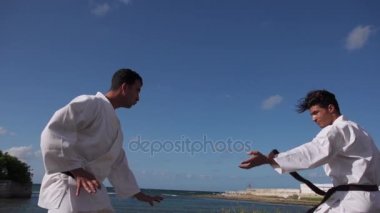 Sporcu mücadele simülasyon Karate ve doğa sporları için sırasında