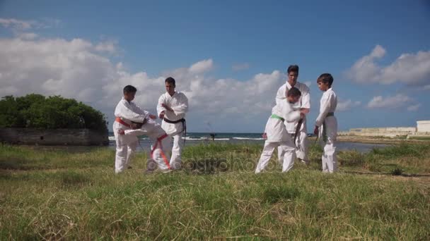 Profesores de escuela y niños en la lección de karate cerca del mar — Vídeo de stock