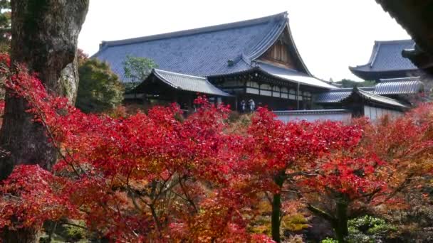 Templo de Tofukuji o Tofuku ji en Kyoto Japón Asia con árboles — Vídeos de Stock