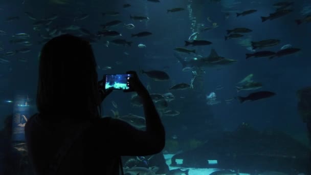 Kvinna turist tar bild av fiskar i Aquarium de Barcelona — Stockvideo