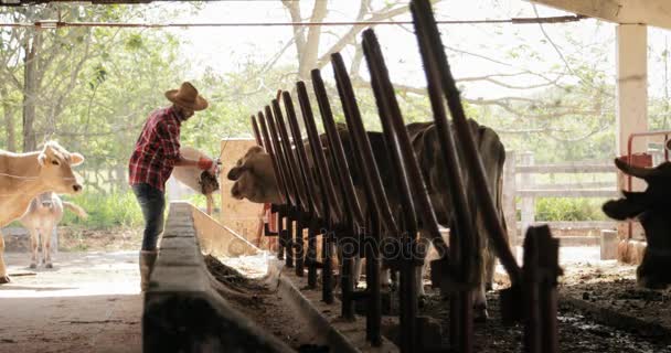 Αργή κίνηση αγρότης αγρότης άνθρωπος στην εργασία στο αγρόκτημα — Αρχείο Βίντεο