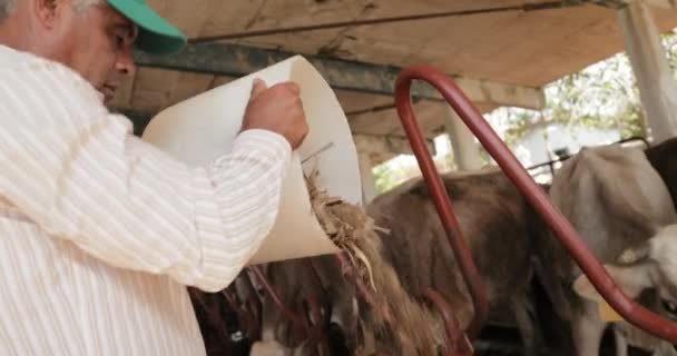 Campesino alimentación animales campesino hombre en el trabajo en granja — Vídeo de stock