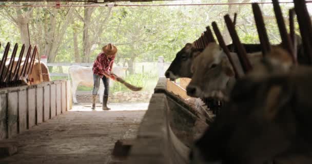 Медленное движение фермер работает усталый человек отдыхает на ферме — стоковое видео