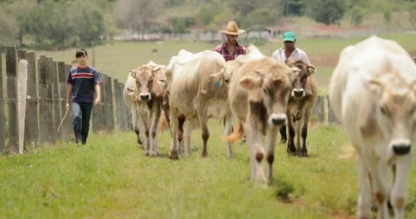 Cámara lenta abuelo padre niño en familia rancho — Vídeos de Stock