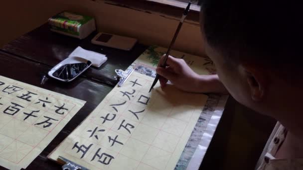 Lección en caligrafía china con el hombre usando cepillo para escribir — Vídeos de Stock