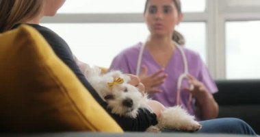 Doktor köpek sahibi ve evde beslenen hayvan hayvan hastalıklarıyla ilgili ev ziyareti