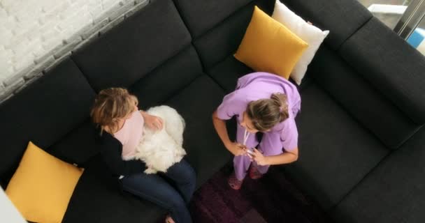 Mujer trabajando como perro veterinario de visita durante la visita domiciliaria — Vídeos de Stock